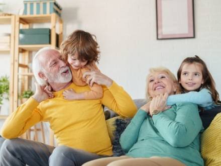 IL family lawyer